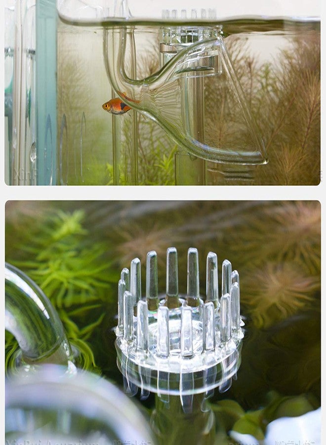 Hamiledyi Aquarium Glass Lily Pipe Set Lily Surface Skimmer Inflow and Lily Outflow for Aquarium Filter Tubing Freshwater Fish Planted Aquarium Tank - Image 4